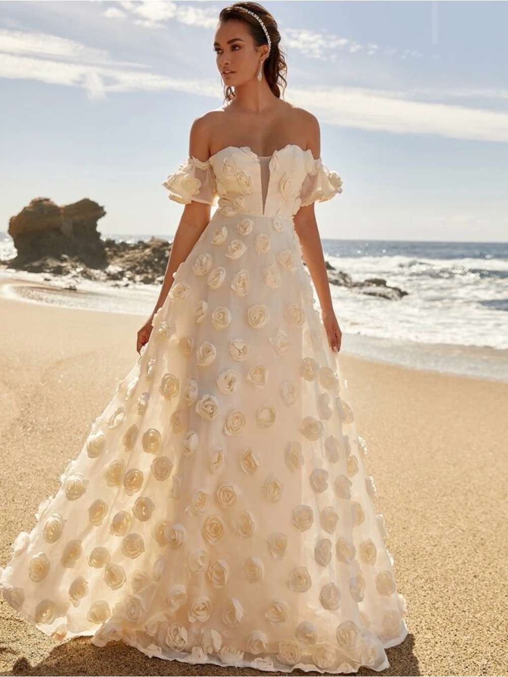 Off-Shoulder Ivory Floral Appliqué Ball Gown Dress
